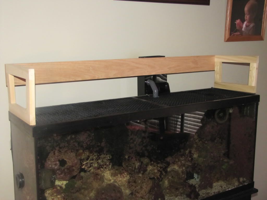 55 Gallon Canopy Build 3reef Aquarium Forums